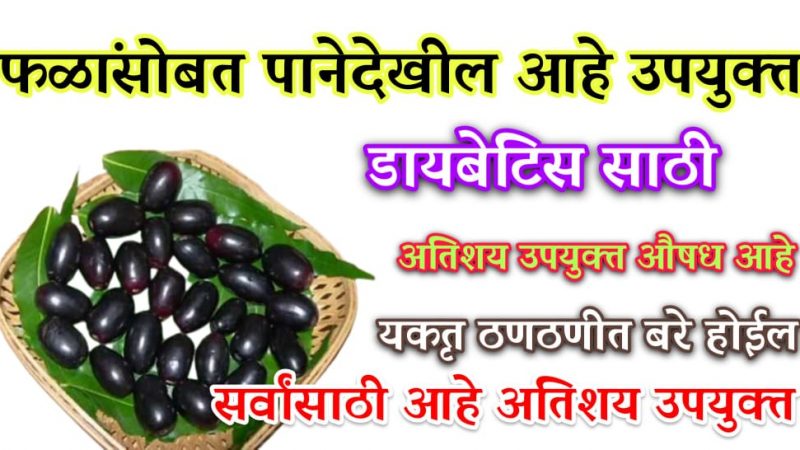 जांभूळ खाल्ल्याने हे रोग होतात मुळापासून नष्ट; जाणून घ्या जांभळाचे हे आयुर्वेदिक फायदे.!