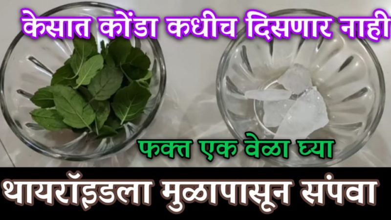 फक्त एक वेळ वापरा आणि थायरॉईड, केसातील कोंडा, केस गळती, स्किन प्रॉब्लेम करा कायमचे दूर.!