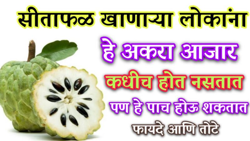 सीताफळ खाणाऱ्यांनी वेळात वेळ काढून हि माहिती नक्की वाचा; नाहीतर होईल खूप पच्छाताप.!