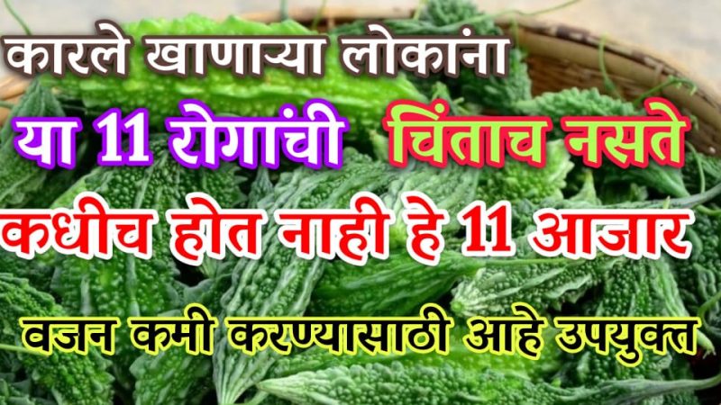 कारले खाणाऱ्यांना हे 11 रोग कधीच होत नाहीत; कारल्याचे फायदे ऐकून तुम्हीसुद्धा वेडे व्हाल.!
