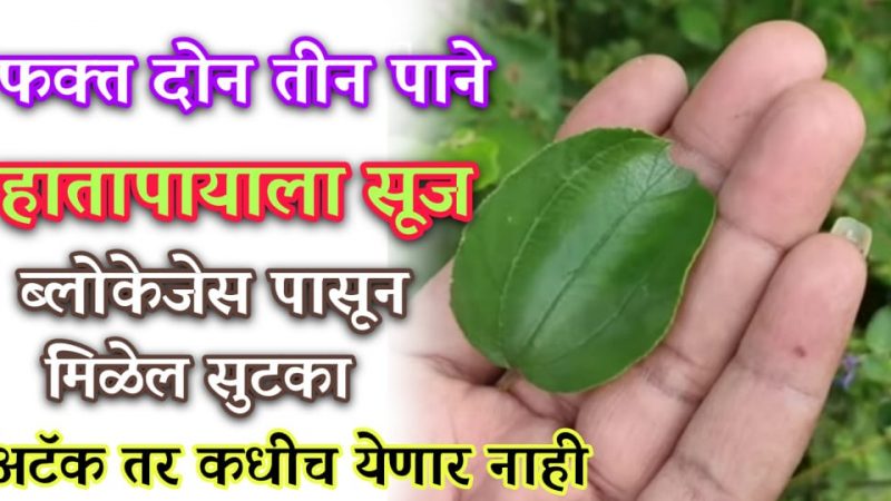 ब्लॉकेजेस, हार्ट प्रॉब्लेम, झोप न येणे, तरुण राहणे यासाठी या झाडाची 3 ते 5 पाने रोज अशी खा.!