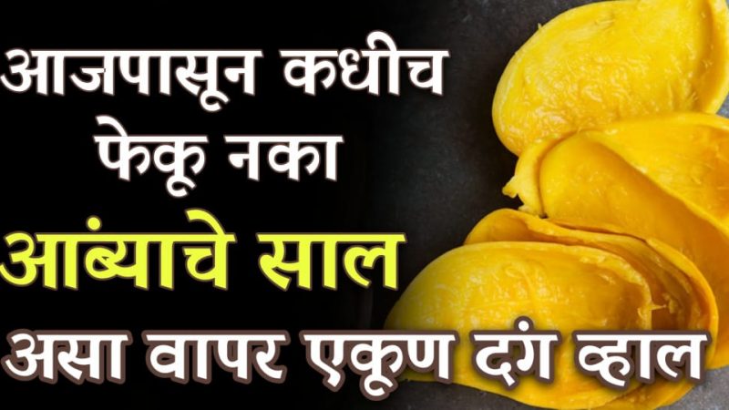 आंब्याची कोय व सालीचा असा भन्नाट वापर पाहून तुम्हीसुद्धा दंग व्हाल; पहा त्याचे चमत्कारी फायदे.!