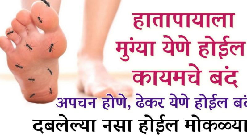 हाता पायाला सारख्या मुंग्या येतायत.? करा हा नैसर्गिक घरगुती उपाय, मुंग्या येणे कायमचे बंद होईल.!