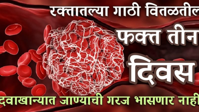 फक्त हे २ चमचे नियमित घ्या; रक्तातील गाठी मेणासारख्या वितळातील, कोलेस्टेरॉल होईल कमी.!