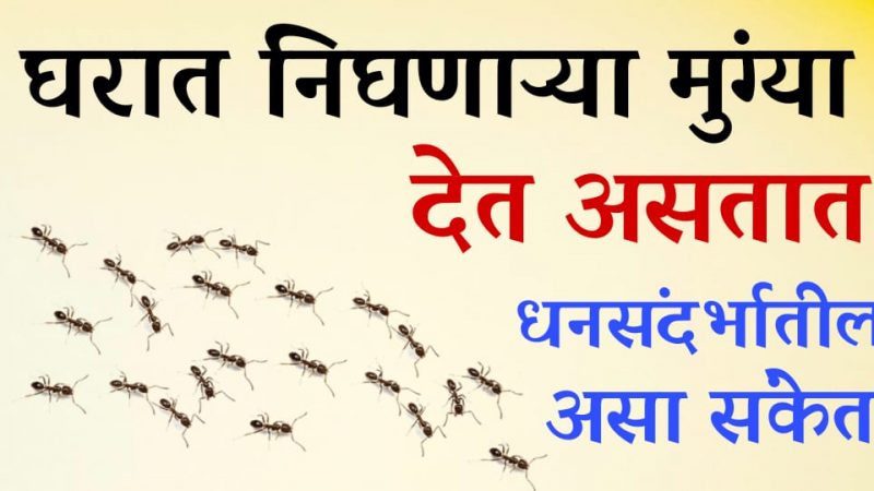 घरात मुंग्या अश्याप्रकारे देत असतात धन व पैसा येण्याचा व जाण्याचा मोठा संकेत.!
