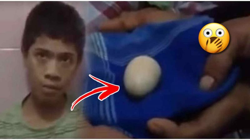 हा मुलगा देत आहे दोन चक्क वर्षापासून अंडे; डॉक्टर देखील पाहून झालेत हैराण.!