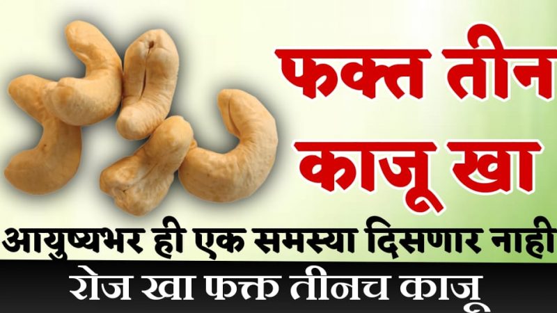 रोज फक्त ३ काजू खा आणि जीवनाला एक निश्चित दिशा द्या; हे आहेत काजू खाण्याचे नैसर्गिक फायदे.!