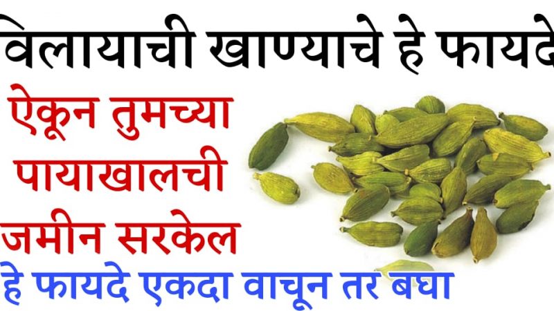 इलायची खाल्ल्याने मिळतील इतके जबरदस्त फायदे कि जाणून तुम्हीसुद्धा हादरून जाल.!