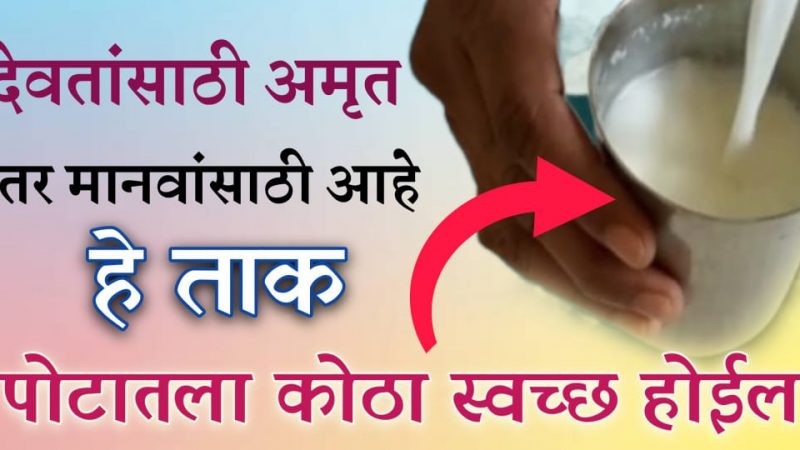 देवांना अमृत हितावह आहे तर मानवांना ताक; एका रात्रीतच पोटाचा कोठा पूर्णपणे साफ होईल.!