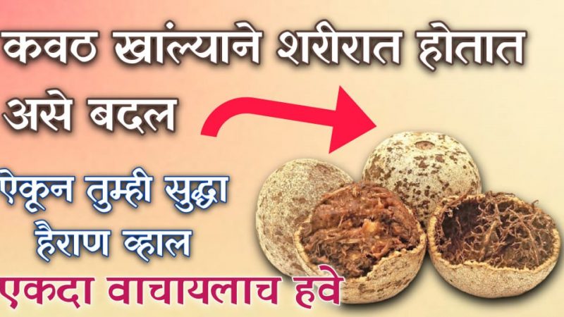 कवठ फळ खाल्ल्याने जे होते ते ऐकून पायाखालची जमीन सरकेल; पहा कवठ फळ खाण्याचे चमत्कारी फायदे.!