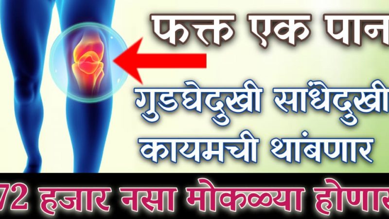 हे १ पान, गुडघेदुखी, सांधेदुखी,कंबरदुखी मरेपर्यंत होणार नाही; ७२००० नसा मोकळ्या होऊन हाता पायाला मुंग्या येणं होईल बंद.!
