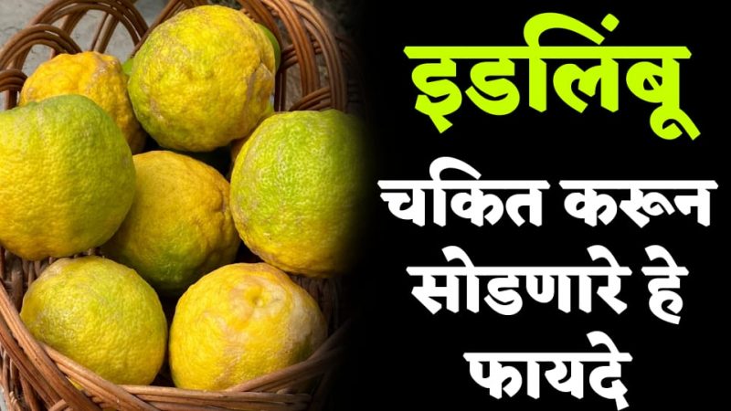 ईडलिंबूचे हे चमत्कारिक फायदे ऐकून तुम्हीसुद्धा चकित व्हाल; मुतखडा असेल तर ३ दिवसात पडेल.!