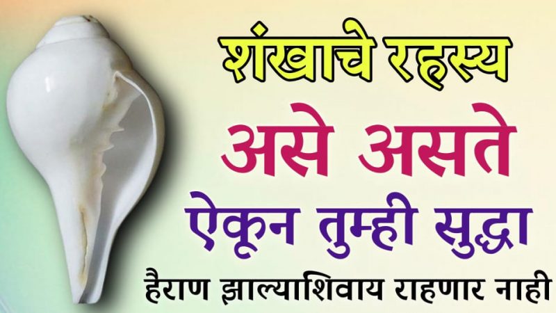 शंखाचे हे चमत्कारिक रहस्य ऐकून तुमच्याही पायाखालची जमीन सरकेल.!