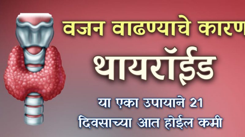 वजन वाढण्याचे कारण जर थायरॉईड असेल तर करा हा उपाय; २१ दिवसातच वजन होईल कमी.!