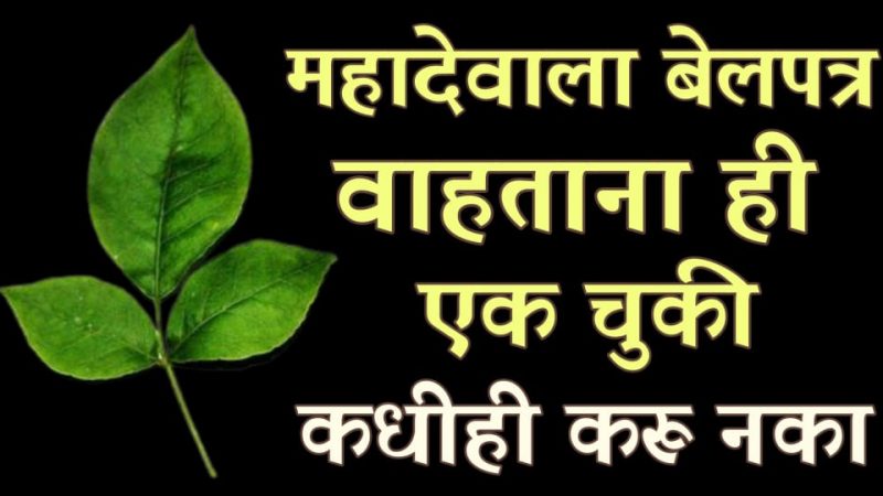 शंकराला बेलपत्र वाहताना हि चूक मुळीच करू नका; घर होईल पूर्णपणे बरबाद.!