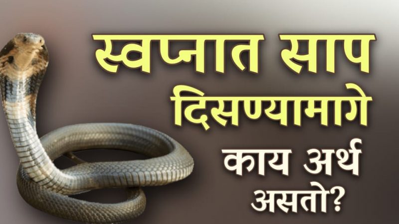 स्वप्नात साप पाहण्याचा नेमका काय अर्थ आहे.? नेमके काय असतात यामागील संकेत.!