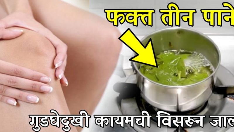 या 3 पानांचा वापर करून स्पोंडेलीसीस, गुडघेदुखी, कंबरदुखी, पाठदुखी, सांधेदुखी कायमची होईल बंद.!