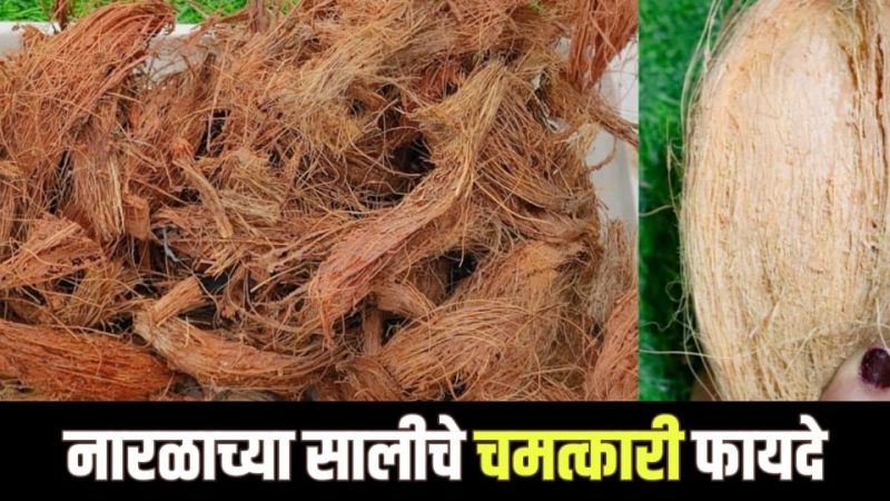 नारळाची साल फेकून देत असाल तर आताच थांबा; नारळाच्या सालीचे हे फायदे ऐकून व्हाल हैराण.!