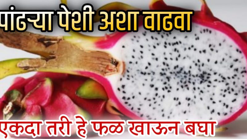 ड्रॅगनफ्रुट खाणाऱ्याला हे 9 आजार कधीच होऊ शकत नाहीत; फक्त एकदा हे फळ खाऊन पहा.!