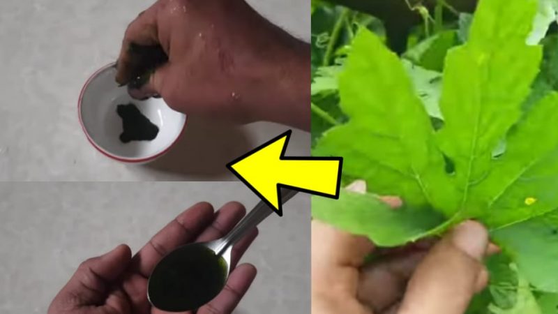 याचा फक्त १ चमचा घ्या अट्टल बेवड्याची सुद्धा दारू कायमची सुटेल; लिव्हर निरोगी व मजबूत राहील.!