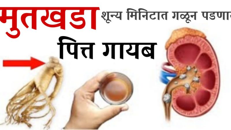 ल’घ’वीची जळजळ थांबेल, पित्त वाढणार नाही,मुतखडा फुटून बाहेर निघेल; फक्त ही मुळी एकदा उकळून प्या.!