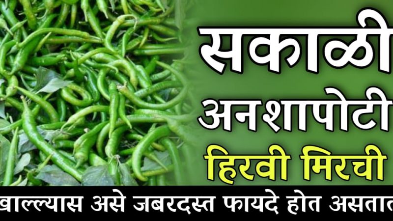 हिरव्या मिरचीचे अशा प्रकारे सेवन केल्यावर पोट होईल लगेच साफ; हिरवी मिरची खाण्याचे अद्भुत फायदे.!