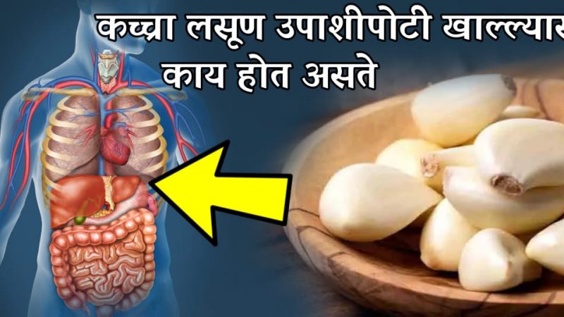 कच्चा लसूण उपाशीपोटी खात असाल तर सावधान; खाण्याआधी हि माहिती एकदा अवश्य वाचा.!