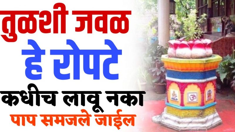 तुळशीच्या शेजारी इतर झाडे लावणे ठरते गरिबीचे कारण; हे आहेत यामागील महत्त्वाचे कारण.!