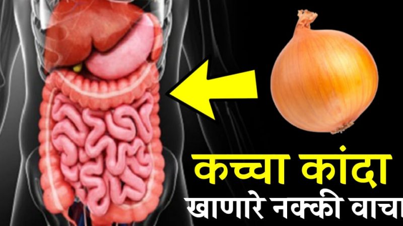 कच्चा कांदा खाणाऱ्यांनी हि माहिती एकदा नक्की वाचा; फायदे व तोटे जाणून तुम्हीसुद्धा व्हाल हैराण.!