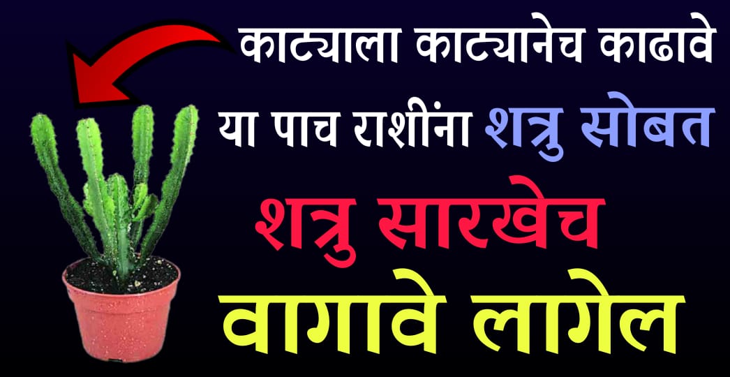 काट्याला काट्यानेच काढावे लागेल, या 5 राशींना शत्रूसंग शत्रू सारखेच वागावे लागेल.!