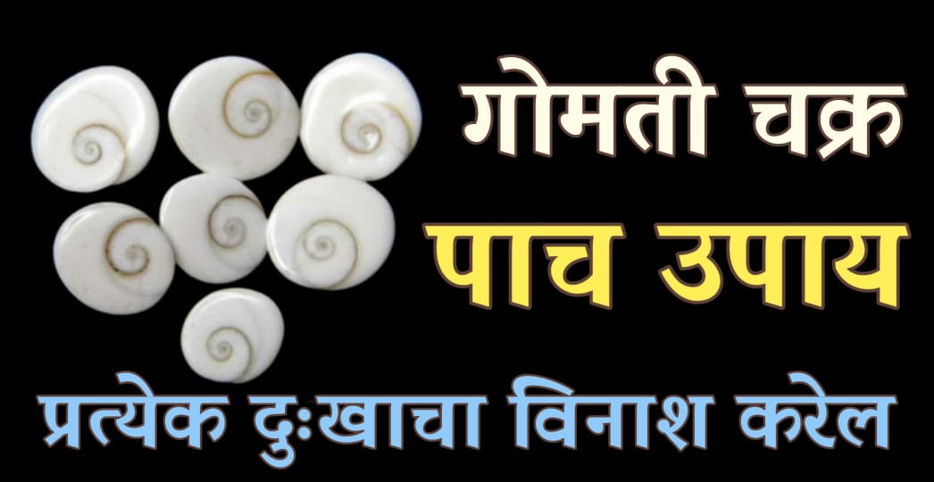 गोमती चक्राचे हे ५ उपाय करेल प्रत्येक दुःखाचा विनाश; जाणून घ्या याचे चमत्कारी उपाय.!