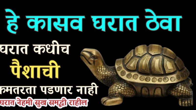 हे कासव घरात ठेवा, घरात पैशाची कधीच कमी भासणार नाही; नेहमी सुख समृद्धी राहील.!