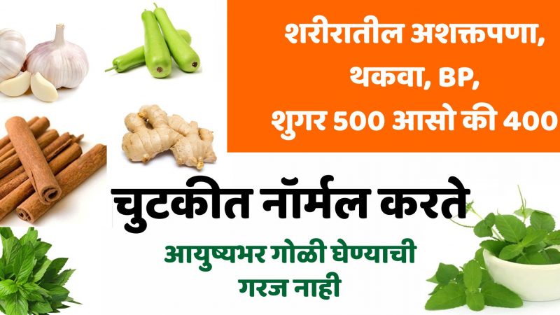 शरीरातील अशक्तपणा, थकवा BP, शुगर 500 असो की 400 चुटकीत नॉर्मल करते आयुष्यभर गोळी घेण्याची गरज नाही.