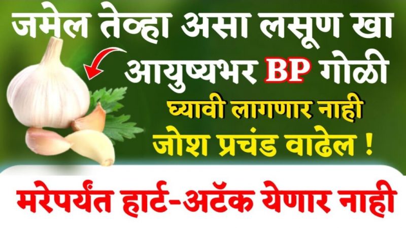 लसणासोबत हा पदार्थ खा, मरेपर्यंत हार्ट अटॅक येणार नाही, BP गोळी बंद, ब्लॉकेजेस, गुडघेदुखी, मुंग्या येणे बंद