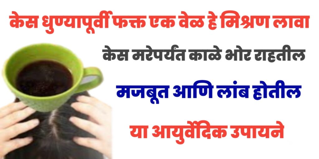 केस धुण्यापूर्वी फक्त एक वेळा हे मिश्रण लावा कितीही पांढरे झालेले केस कायमचे काळे करा फक्त एका रात्रीत ! घरगुती आयुर्वेदिक उपाय ….!!