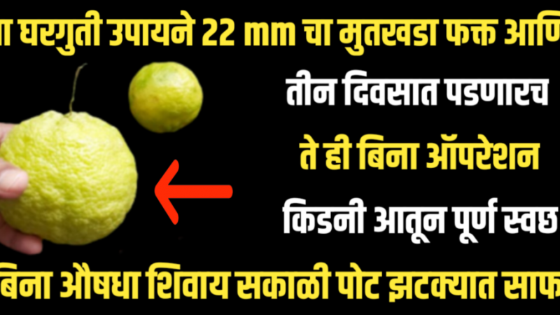 या घरगुती उपायने 22 mm मुतखडा फक्त तीन दिवसात पडणारच ; ते ही बिना ऑपरेशन किडनीची आतून पूर्ण स्वछता, सकाळी पोट झटक्यात साफ फक्त या उपायाने ….!!