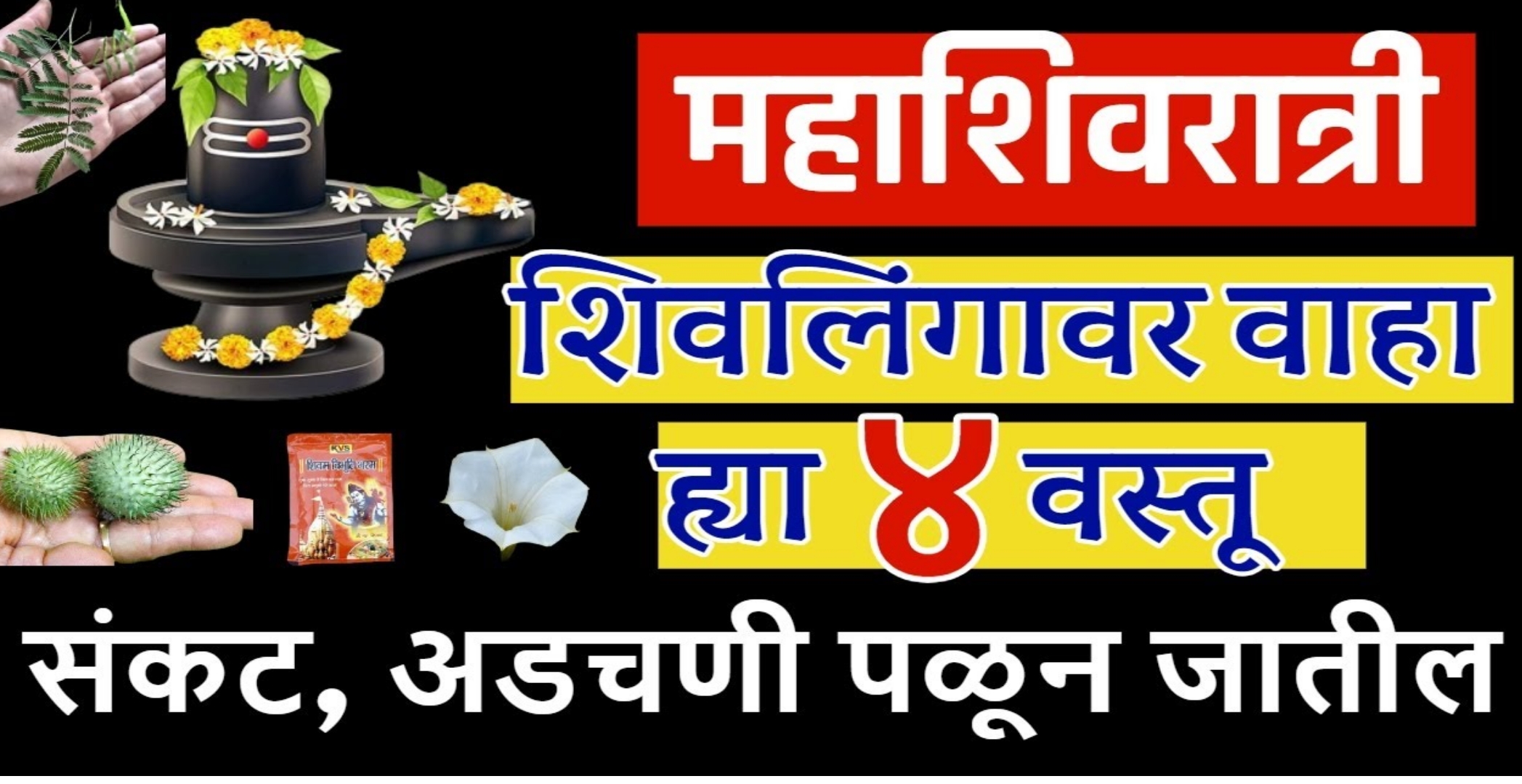 ८ मार्च महाशिवरात्री शिवलिंगावर वाहा या चार वस्तू घरावरील सर्व संकट आणि घरातील सर्व अडचणी जातील पळून ….!!
